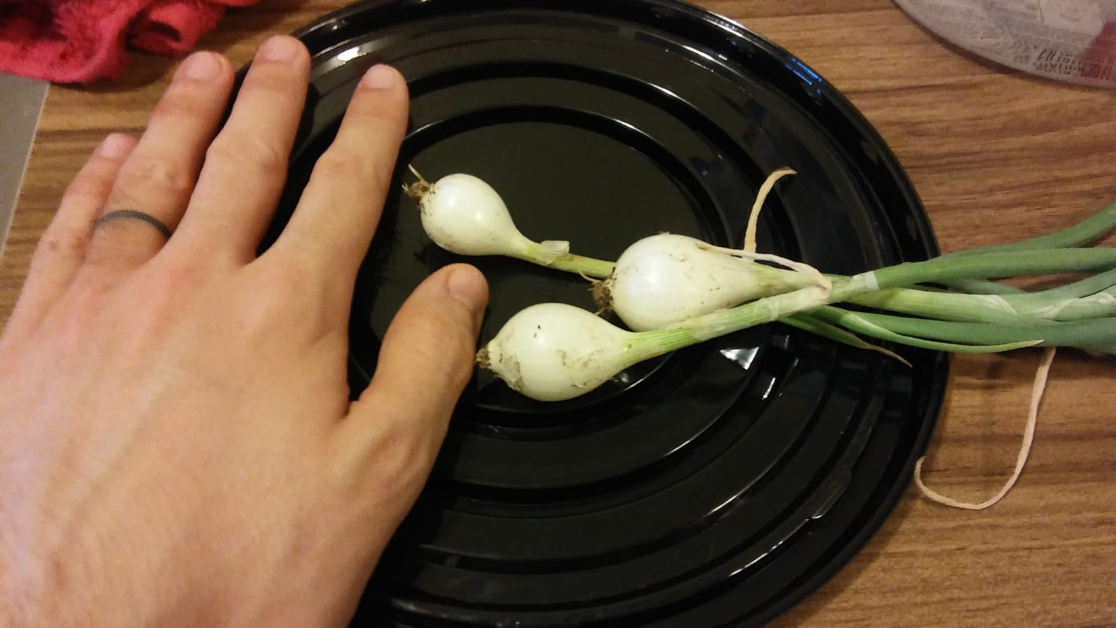 green-onions.jpeg