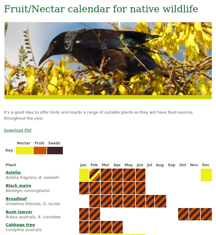 native fruit nectar guide new zealand