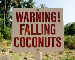 falling_coconut.jpeg