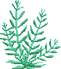 sage_brush.gif